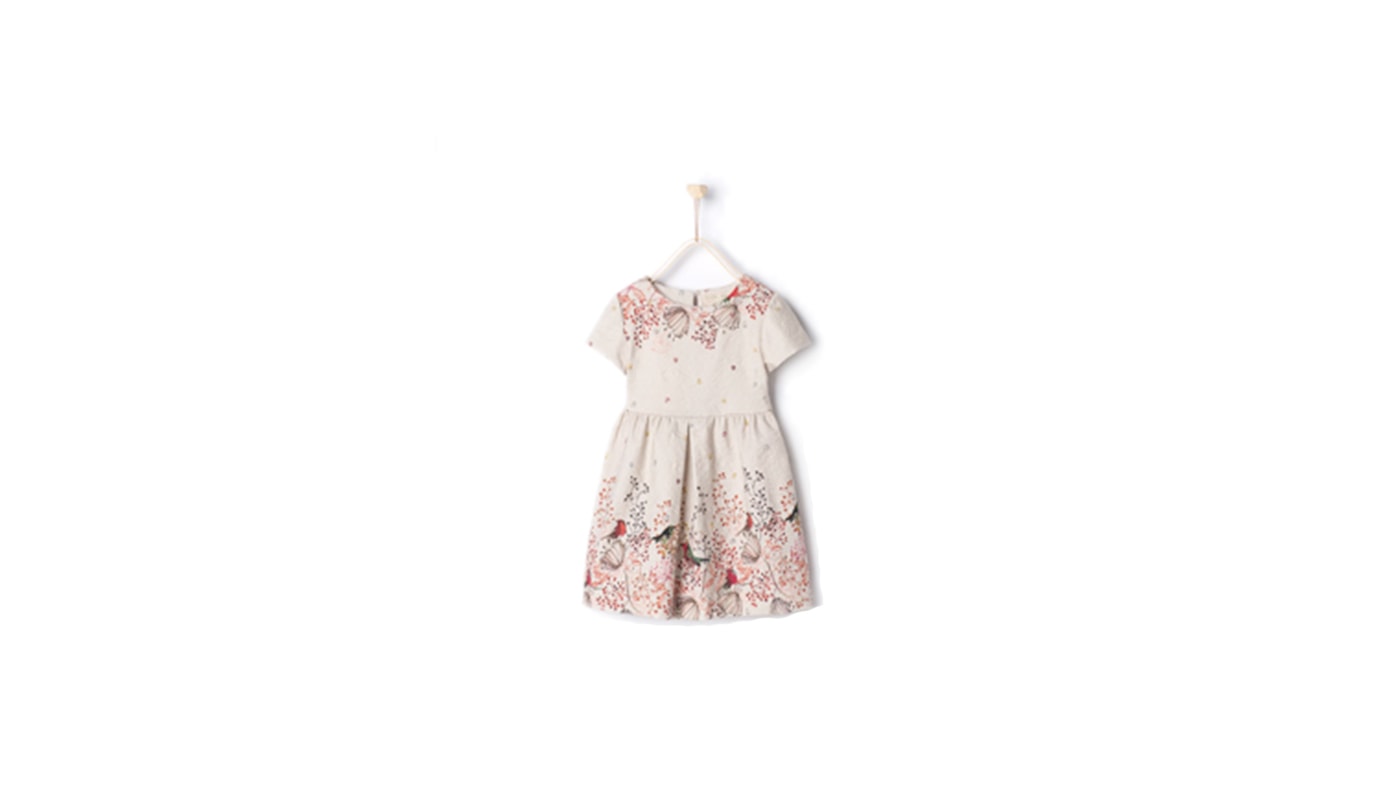 what to wear for family photos Zara dress for girls